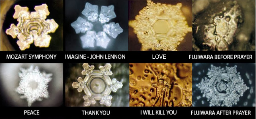 Dr. Masaru Emoto research with water.