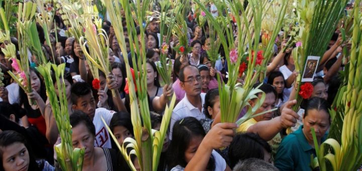 Palm fronds in the Philippines,